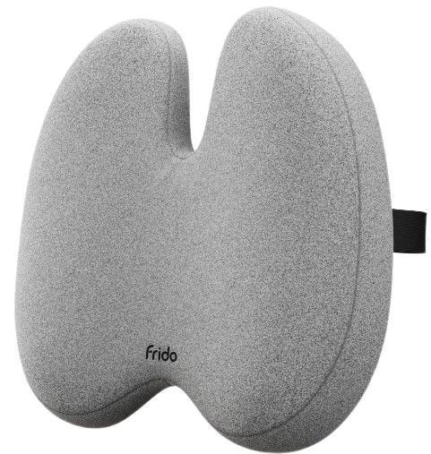 Frido Ultimate Pro Posture Corrector